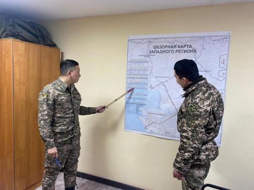 Профессиональная практика