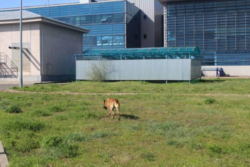 Реализация программы «береги жизнь»-2